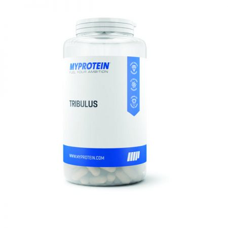 tribulus-terrestris-myprotein