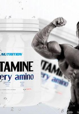 All-Nutrition-Glutamine-Recovery-Amino-banner_1 (2)